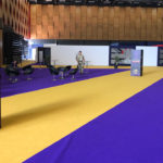 dsei excel london feature theatre